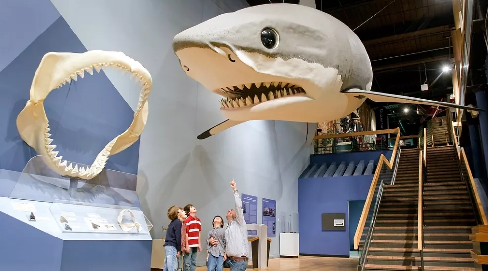 The S.C. Museum wins prestigious award.