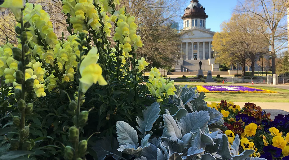 The S.C. State House