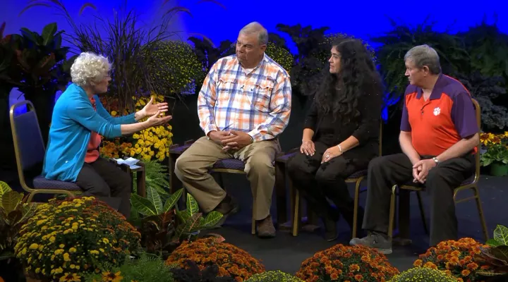 Amanda McNulty, Rowland Alston, Debbie Hayes and Tony Melton