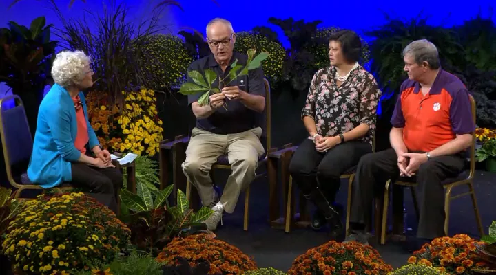 Amanda McNulty, Dr. John Nelson, Vicky Bertagnolli, Tony Melton