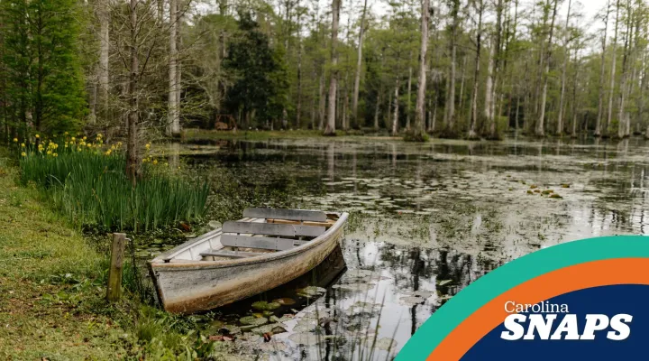 Cypress Gardens, The Notebook Carolina Snaps