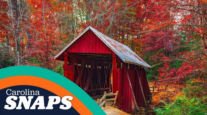 Photo of a covered bridge surronded by fall foliage. The Carolina Snaps logo is shown in the botom left corner of the image.