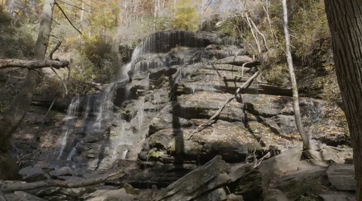 Yellow Branch Falls