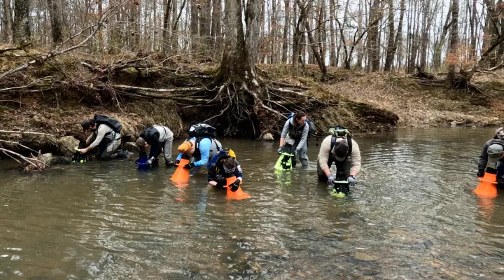 Wildlife biologists searching for the Carolina Heelsplitter using bathyscopes