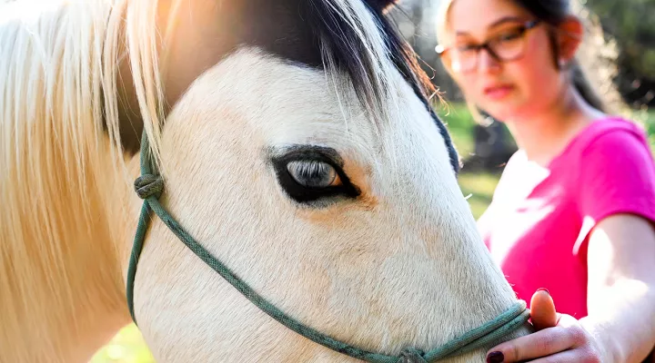 Photo showing the face of a medicine hat paint horse with a teenage girl wearing a brightly colored shirt and glasses touching the horse in a loving manner.