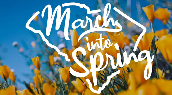 March into Spring graphic showing field of flowers with SC map with March into Spring superimposed