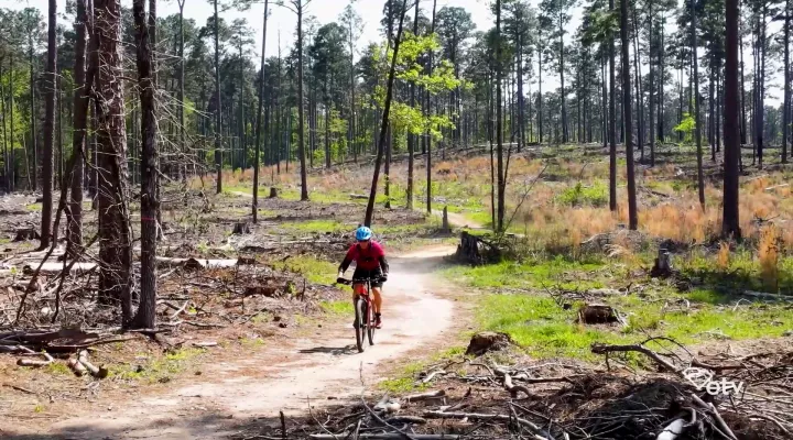 Photograph of a man riding a mountain bike on an outdoor trail in South Carolina.