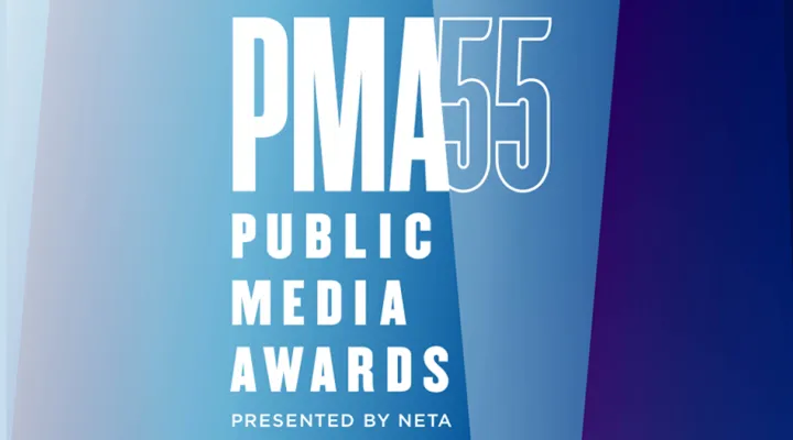 Public media awards written with geometric blue background