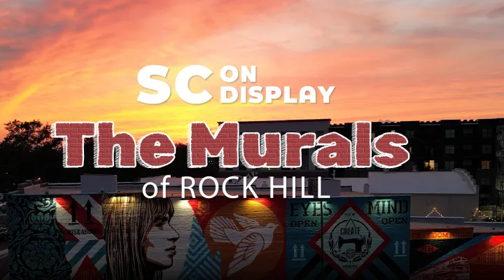 stylized program title with a Rock Hill mural in the background at sunset 