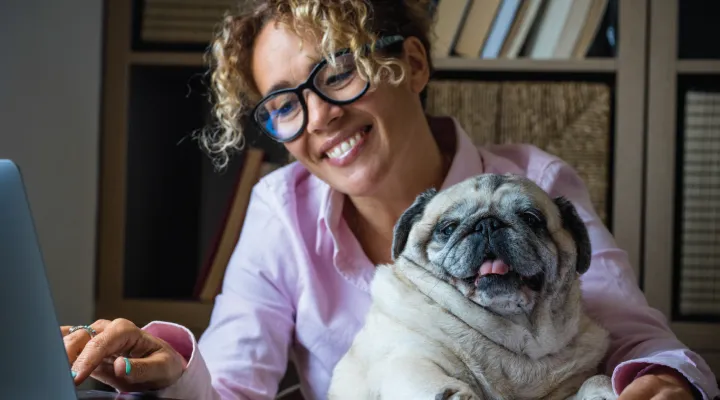 photo of smiling woman looking at laptop screen while holding a pug dog