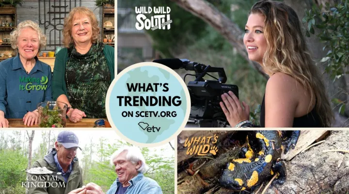 Nature shows on SCETV.org