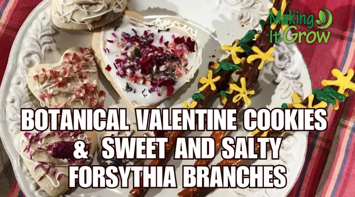 Valentine Treats