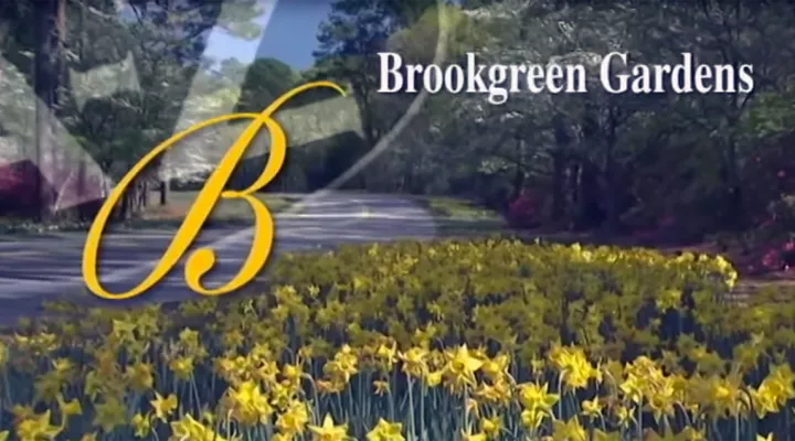 B is for Brookgreen Garden