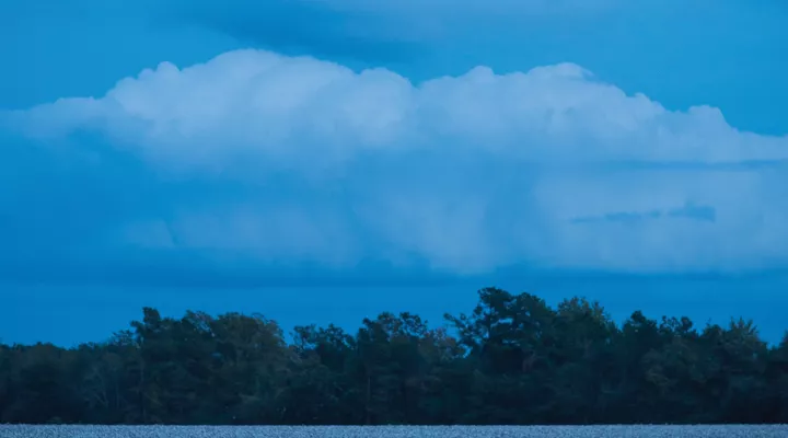 Cotton Field