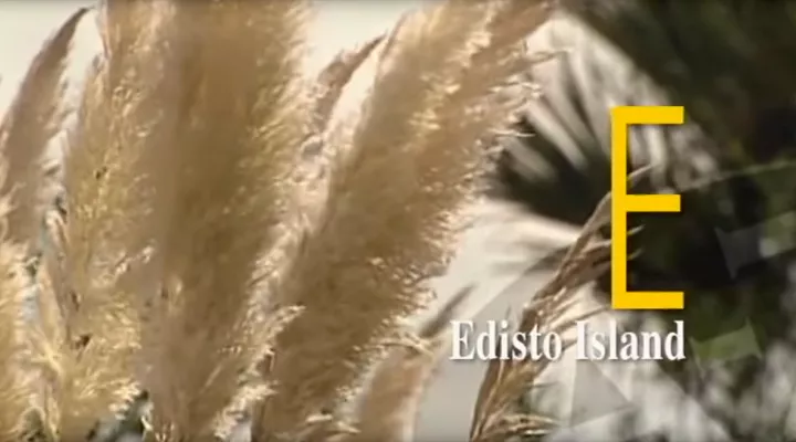 E is for Edisto Beach