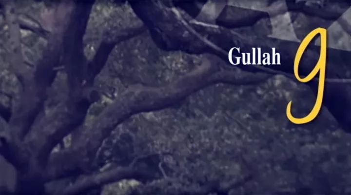 G is for Gullah