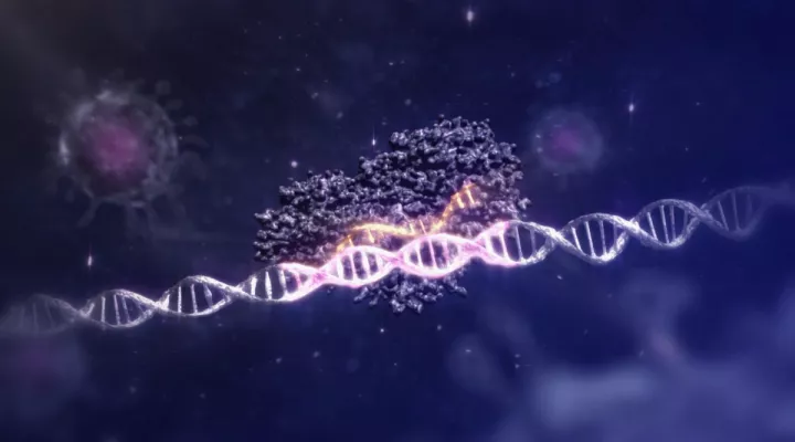 Image of DNA