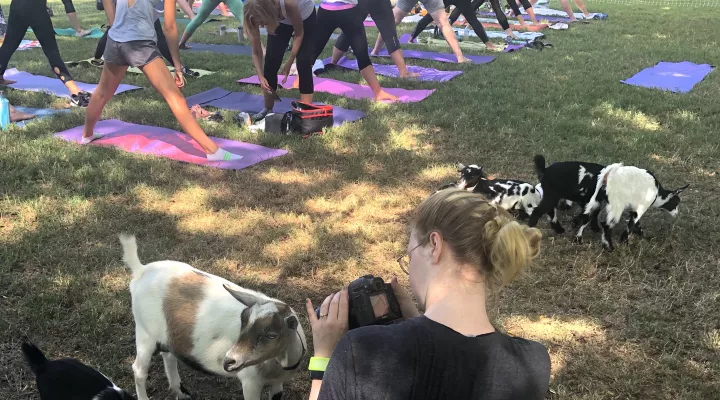 RoseCatherine at Critter Creek Farm's Goat Yoga