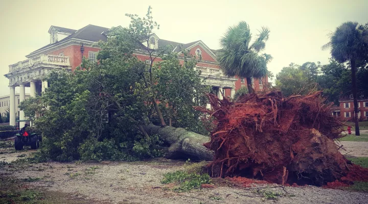 tree down near the VA hospital on Garners Ferry