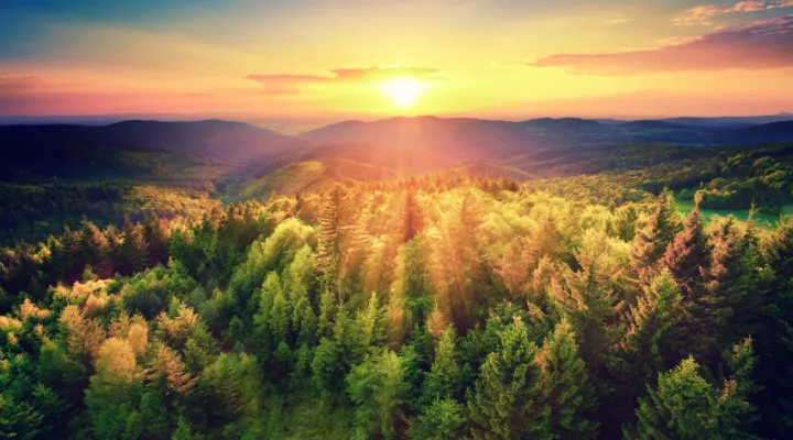 Native Americans make land gains. 
