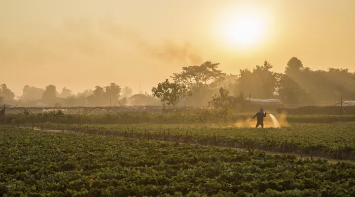 Senate looks to help farmers. 