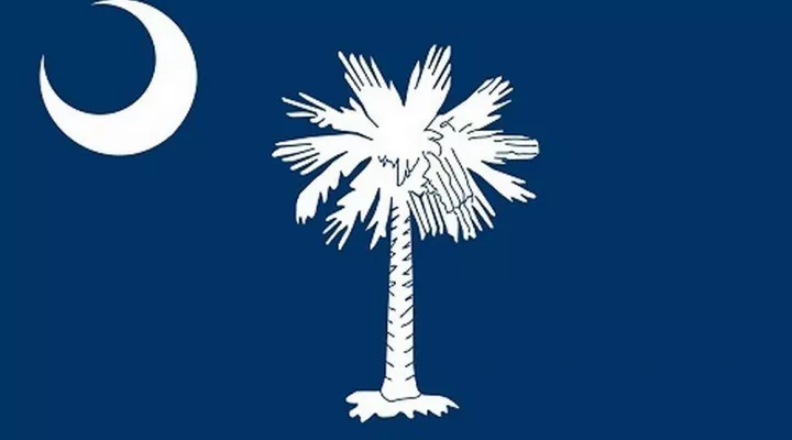 The South Carolina state flag