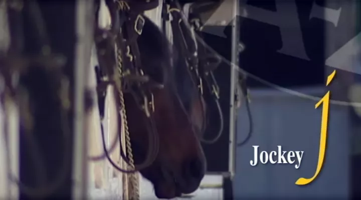 J is for Jockey