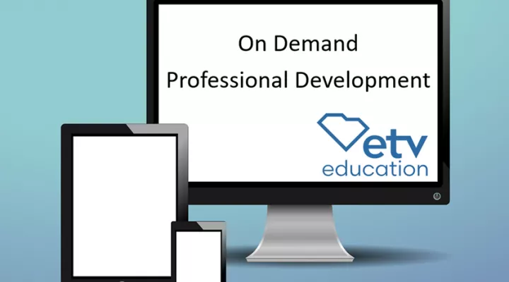 On Demand Professional Development graphic