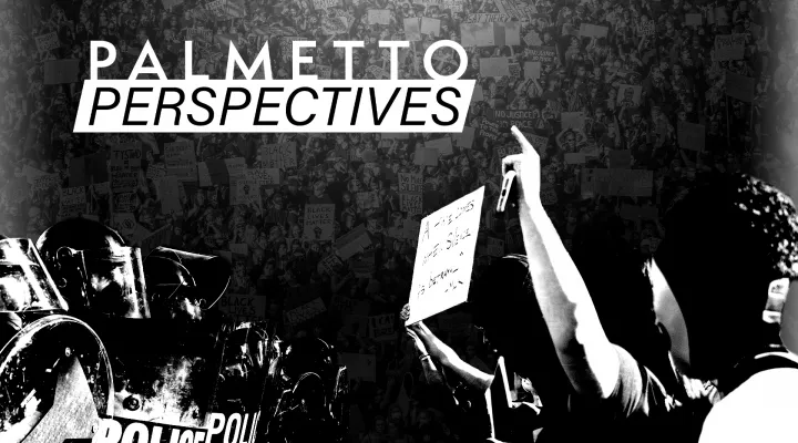 Palmetto Perspectives