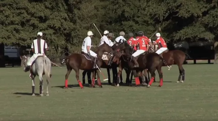 Aiken's Equine Industry