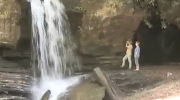 Ecotourism