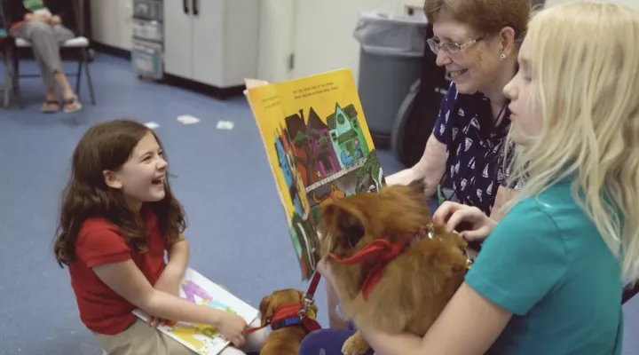 Dogs assisting young readers