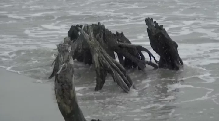 Hunting Island State Park