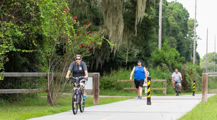 The Spanish Moss Trail