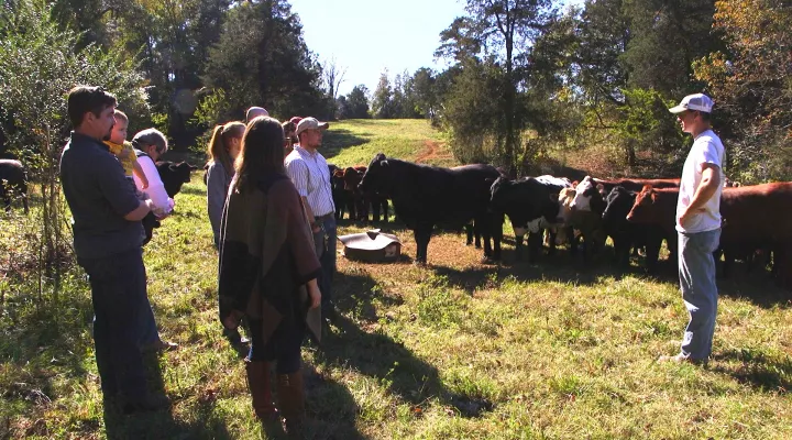 Chefs at Watson Farms