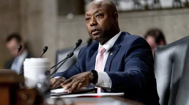 Senator Tim Scott