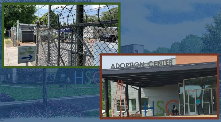  HSC's deal with Charlotte never allowed for permanent buildings on the site of what was once the city's animal control holding facility. So the society has needed to protect its space, its medicines, and its animals with measures that look more like prison than a no-kill community center. Now, after a six-year campaign, HSC has its own plot of land and a dazzling new public building built with the animals' welfare and the public's sense of community in mind.