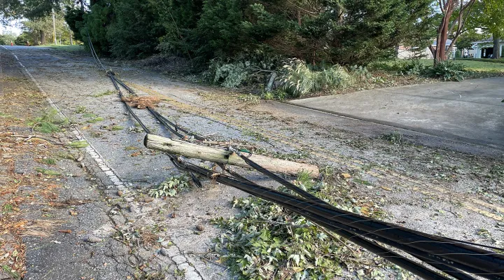 In Landrum, power lines and trees are down everywhere. Here on South Church Street, cleanup crews hadn't made it by Sunday morning. They're working to get power back to a third of the state.