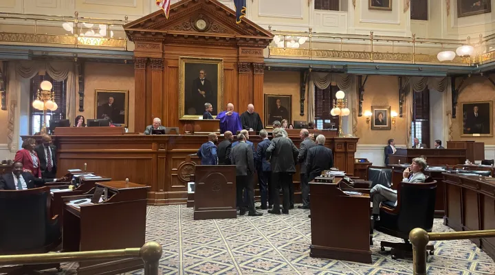 The S.C. Senate stands pauses session on Tuesday, March 4, 2025, after a senator's remarks on the floor.