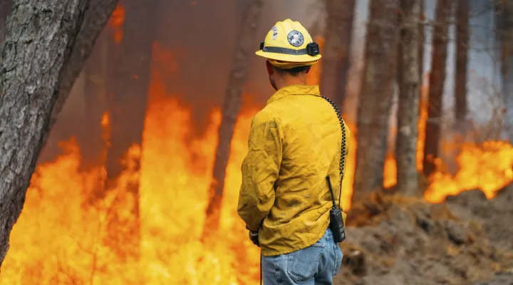 A firefighter looks on as the California Branch wildfire burns Saturday, March 22, 2025 in New Jersey's Wharton State Forest. (New Jersey Department of Environmental Protection via AP)