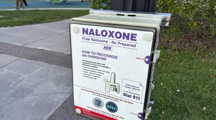 FILE - A box containing free doses of naloxone, a nasal spray medication to reverse drug overdoses, is installed at Ontario Beach Park in Rochester, N.Y., on Monday, Sept. 2, 2024. (AP Photo/Ted Shaffrey, File)
