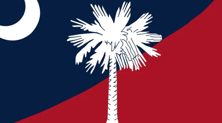 Averaged out, South Carolinians are fairly evenly split over what they think about Trump, tariffs, immigration, and economy. But Republicans overwhelmingly approve of where the U.S. is heading, while Democrats overwhelmingly do not.