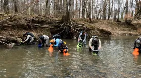 Wildlife biologists searching for the Carolina Heelsplitter using bathyscopes